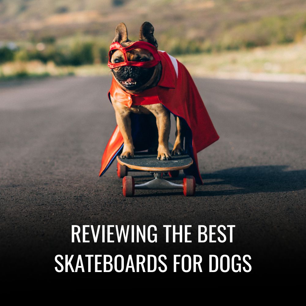 Skateboards for Dogs