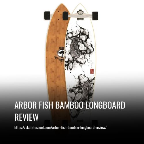Read more about the article Arbor Fish Bamboo Longboard Review
