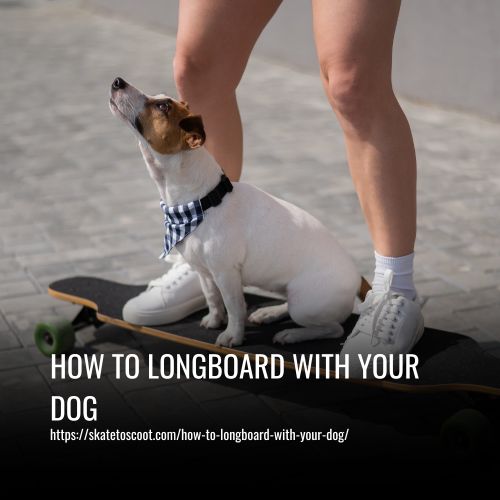 How To Longboard With Your Dog